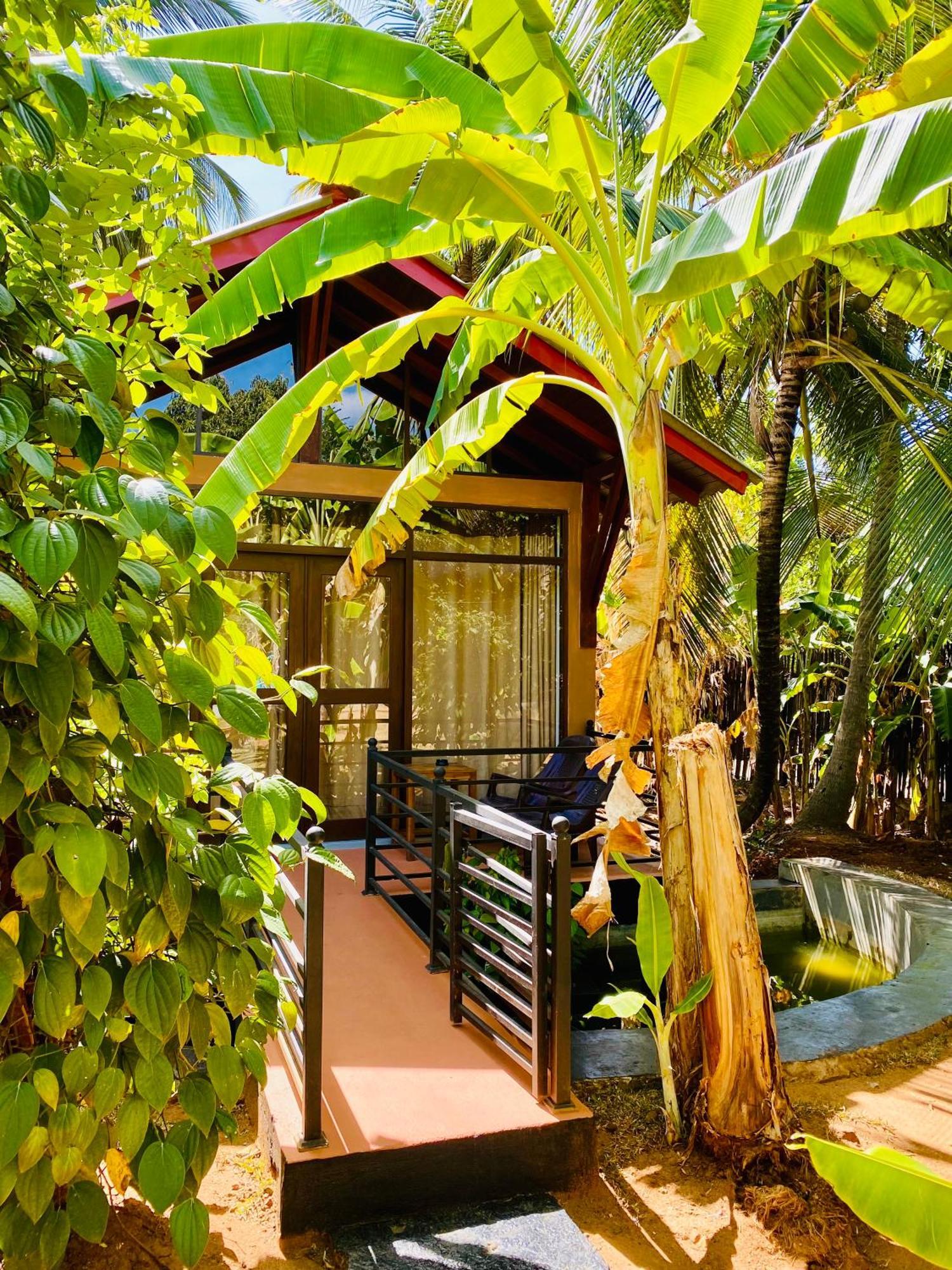 Mango Tree House Hotel Udawalawe Exterior foto