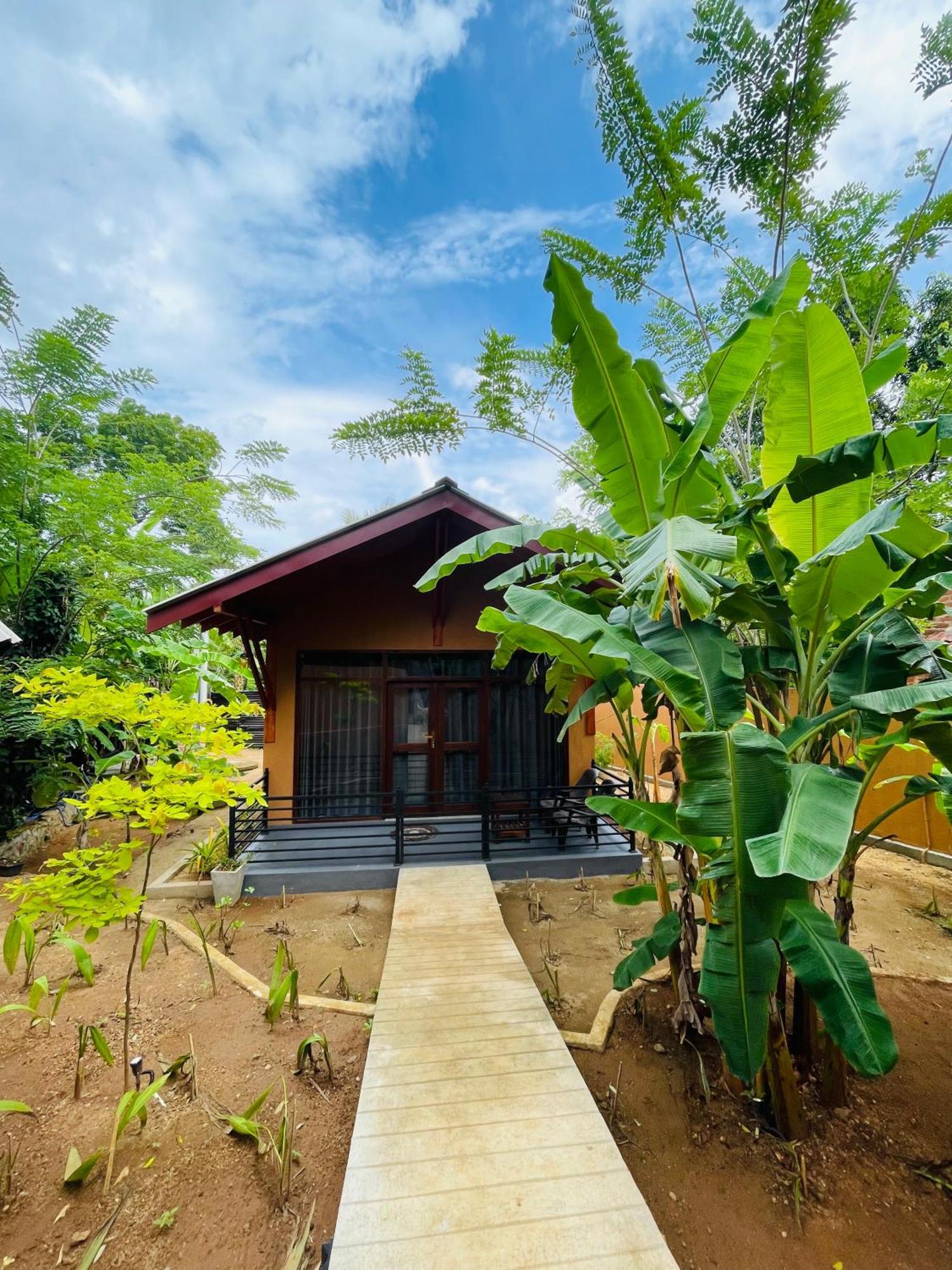 Hotel Mango Tree House Udawalawe Exterior foto
